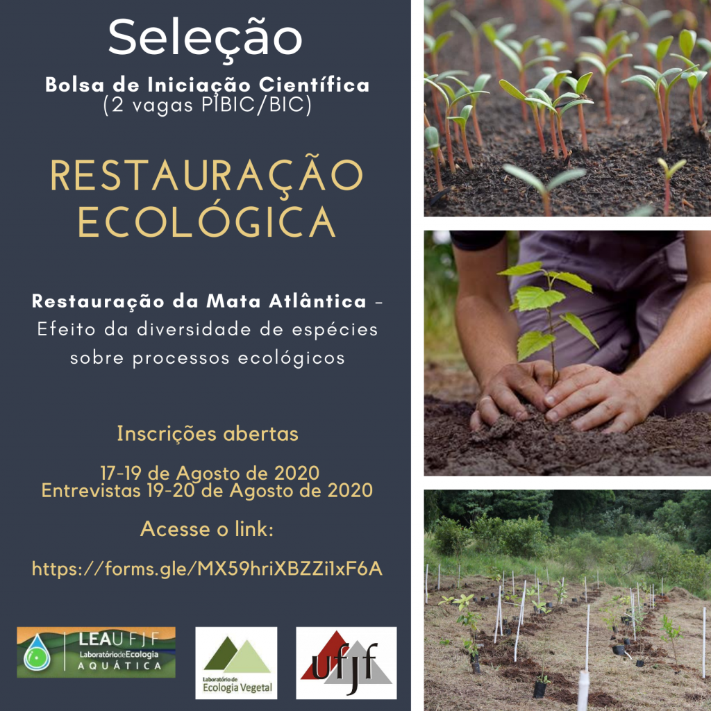 flyer_seleção_pibic