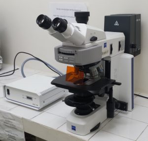 microscópio de fluorescência