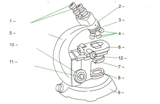 Desenho de microscópio com suas partes constituintes para preenchimento do estudante