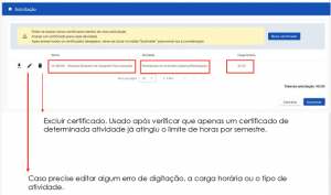 Tela do Siga X com mais explicações sobre a solicitação de flexibilização curricular