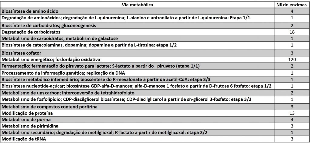 Distribui&ccedil;&atilde;o das enzimas de acordo com as vias metab&oacute;licas