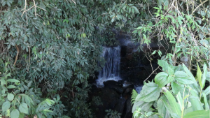 Cascata na área de mata