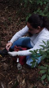 Coleta de sedimento em área de mata