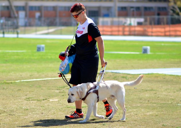 Lexington, the guide dog, is one of the athlete’s supports (Photo: Twin Alvarenga/UFJF)