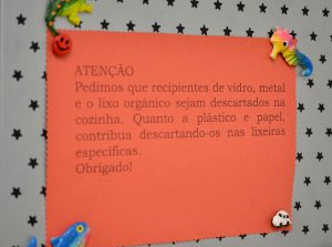 Avisos que explicam o funcionamento do projeto e caixas de papelão para recolher plástico e papel foram distribuídos pelo Núcleo (Foto: Twin Alvarenga)