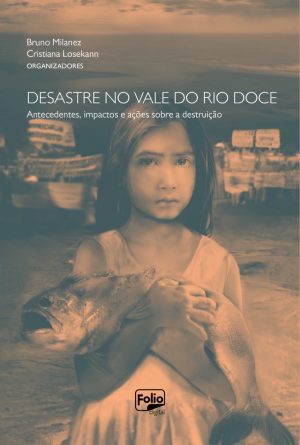 Desastre no Vale do Rio Doce antecedentes, impactos e ações sobre a destruição Foto Divulgação