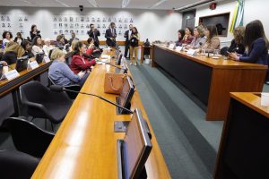 Reitoras das universidades públicas debateram políticas para educação (Foto: Cleia Viana/Câmara dos Deputados)