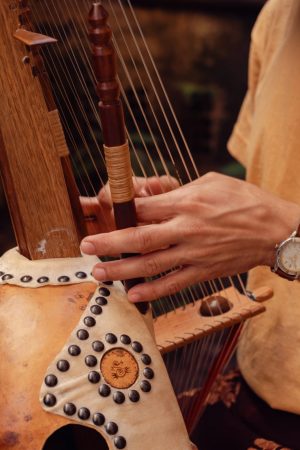 bruno targs - musico - apresenta som da mata - no jardim botanico ufjf - foto divulgacao