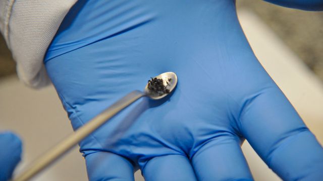 (Foto: Carolina de Paula/UFJF)