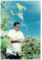 Ortofarma - Faculdade de Farmácia. Sem data. (Foto: arquivo da Diretoria de Imagem Institucional da UFJF)