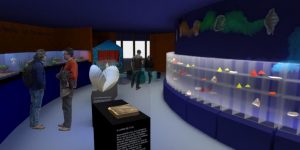 Projeto das futuras instalações do Museu de Malacologia no Centro de Ciências