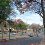 Participação do Arquivo Central no ENARQUIFES Participação do Arquivo Central no ENARQUIFES