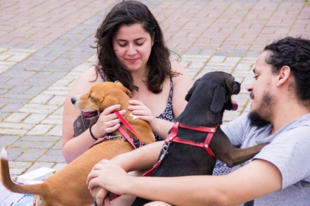 UFJF promove ação pela conscientização sobre câncer de mama e de próstata em animais