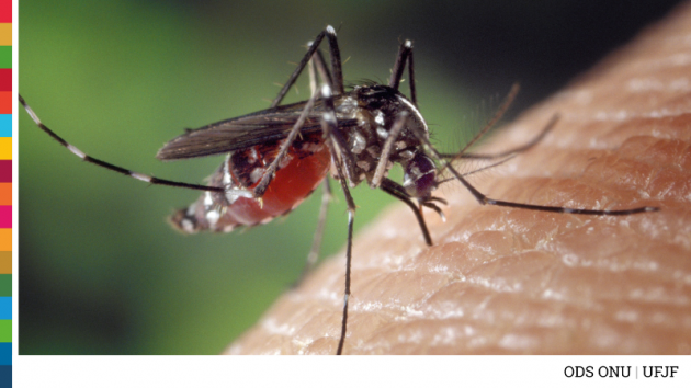 Nature publica artigo da UFJF sobre combate à dengue