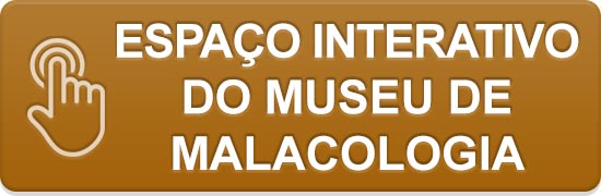Espaço Interativo do Museu de Malacologia.