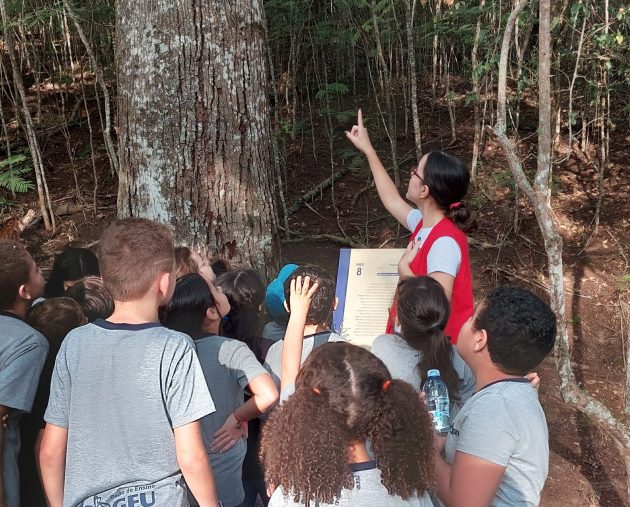 Jardim Botânico seleciona 44 bolsistas e voluntários para projeto de educação ambiental 