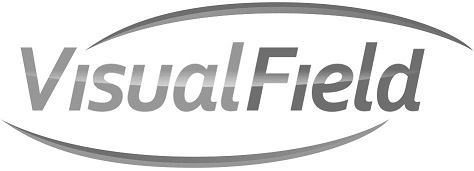 Logo Visual
