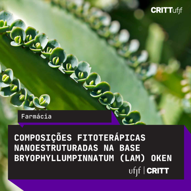 COMPOSIÇÕES FITOTERÁPICAS NANOESTRUTURADAS NA BASE BRYOPHYLLUMPINNATUM (LAM) OKEN - BR 102015017574-4