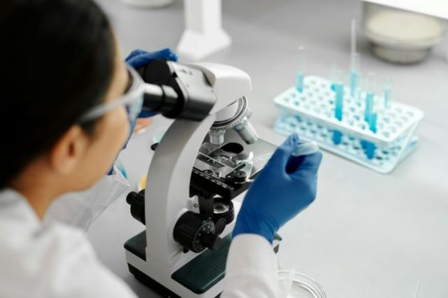 Inscrições abertas para Pós-Graduação em Bioquímica e Biologia Molecular