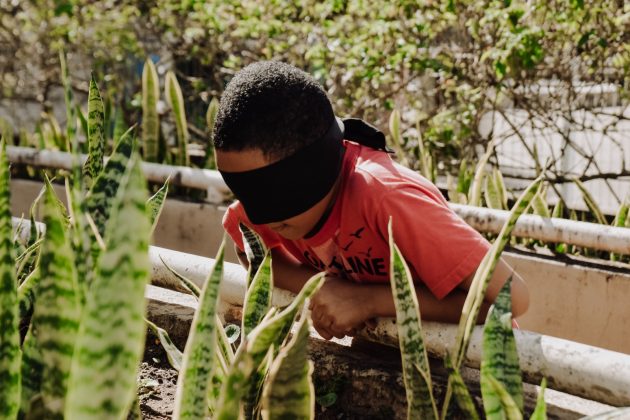 Jardim Sensorial é reaberto para visitação no campus