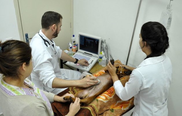 Aberta licitação para construção de novo prédio e Clínica Veterinária