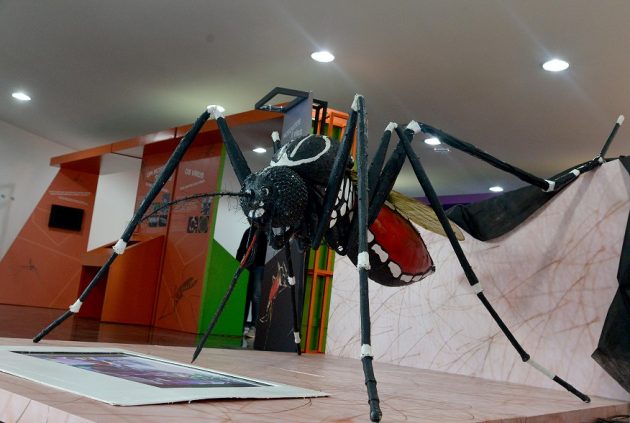 “Aedes: que mosquito é esse?” exposição encanta pela diversão e interatividade