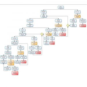 Árvore de decisão binária 2 (para site)