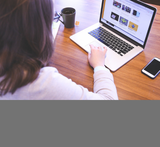 Seleção de bolsistas de projetos de pesquisa – ano 2026