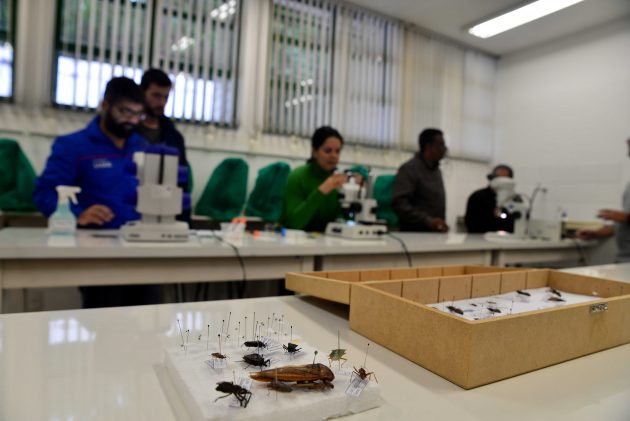 UFJF realiza treinamento sobre identificação de vetores de doenças