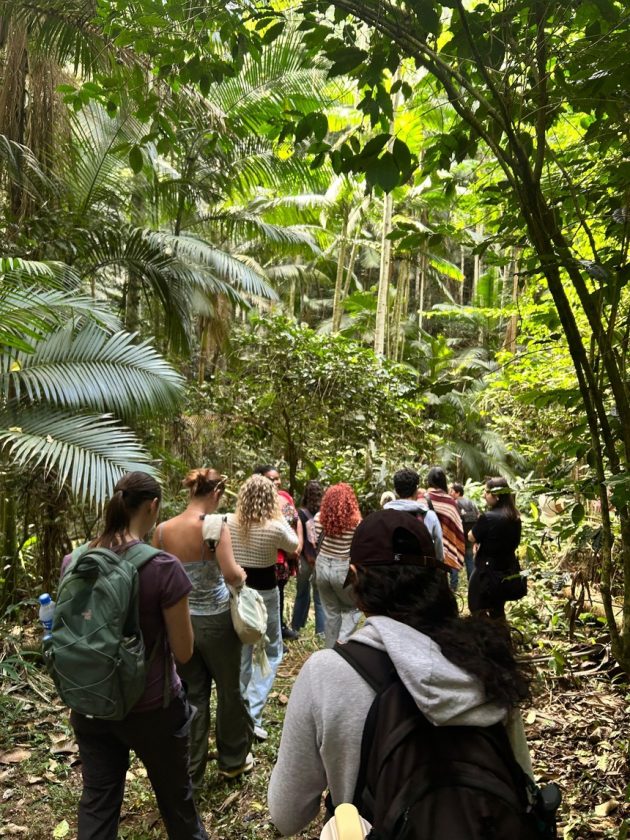 Curso internacional no Jardim Botânico auxilia na formação de estudantes do Brasil e dos EUA