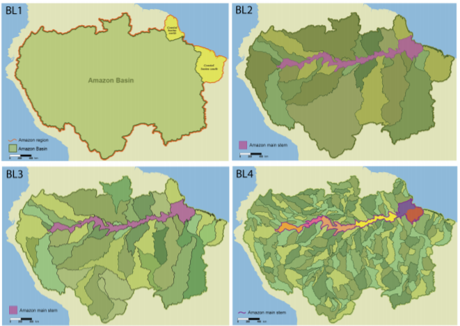 Imagem que retrata os níveis de ramificação da bacia amazônica