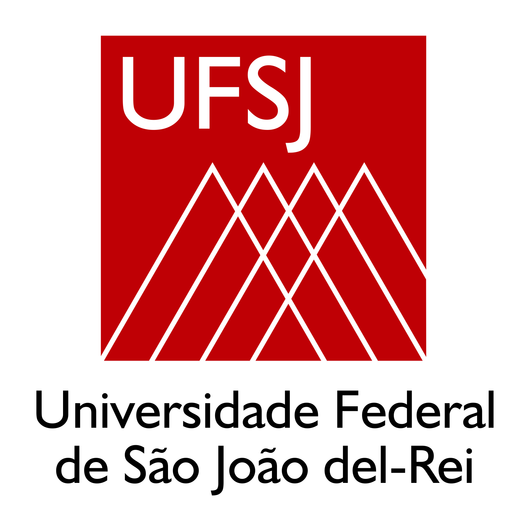UFSJ - Instituto Nacional de Ciência e Tecnologia em Energia Elétrica -  INERGE