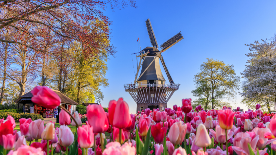 Confira a oportunidade de intercâmbio com bolsa para a Holanda