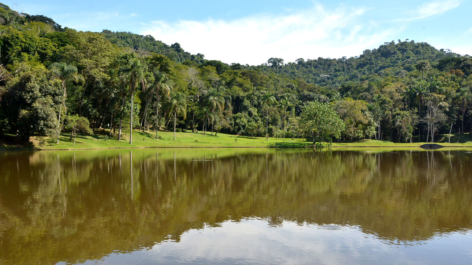 Oficina ensina como identificar espécies de árvores e arbustos no Jardim Botânico