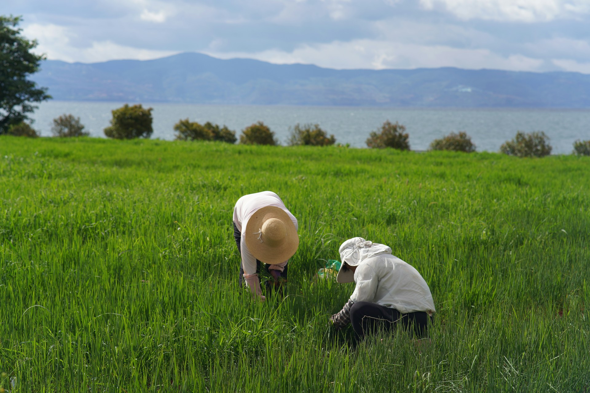 Inscrições abertas em curso de Gestão de Pessoas