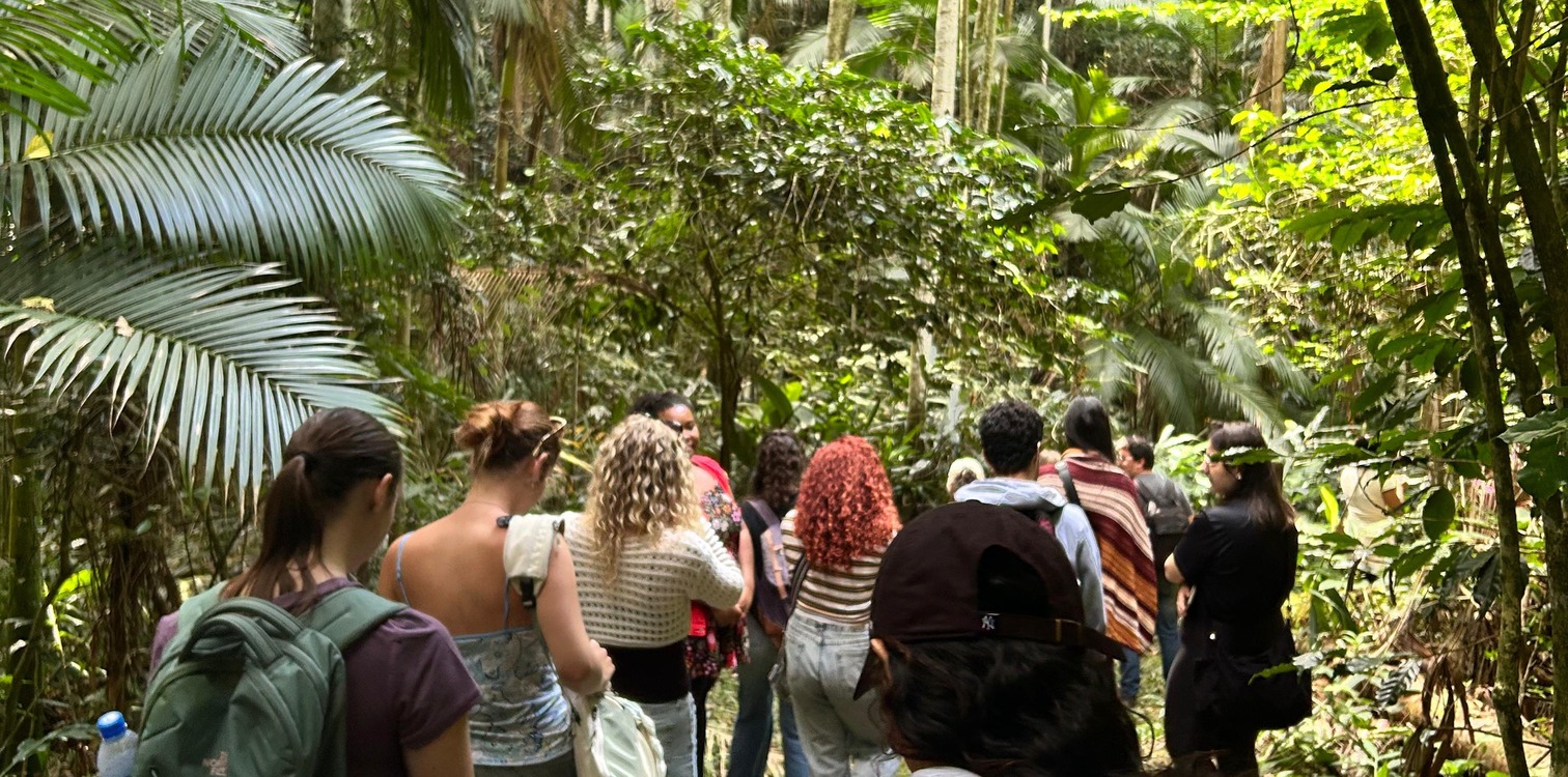 Curso internacional no Jardim Botânico auxilia na formação de estudantes do Brasil e dos EUA