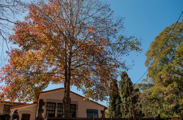 Casa Sede (Foto: Géssica Leine/UFJF) fotos_jardimBotanico_ufjf__credito_GessicaLeineUFJF_ (5)