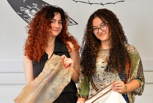 Da bactéria ao produto: pesquisa explora potencial da celulose bacteriana no design