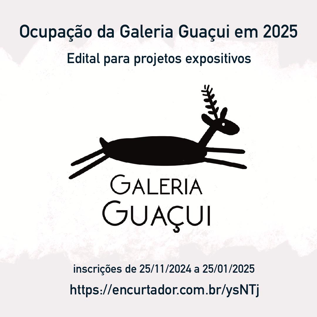 Edital de Ocupação 2025 – Galeria Guaçui