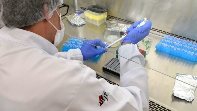 Dengue: laboratórios da UFJF realizam testes para regiões do estado de MG