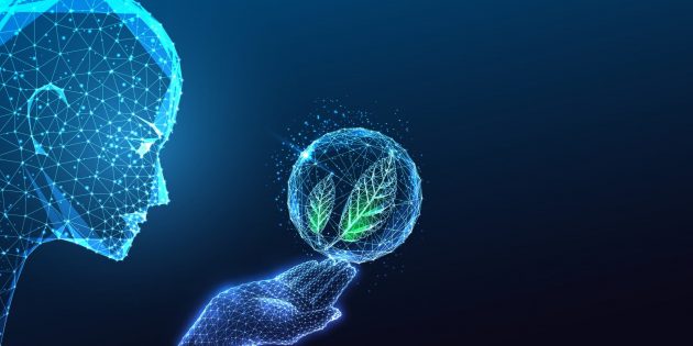 Faculdade de Educação Física lança Plataforma digital de inteligência ambiental