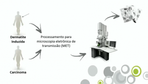 Texto do vídeo "Estudo Ultraestrutural do Tráfego Vesicular de Mediadores Imunes em Eosinófilos Humanos" (Reprodução)