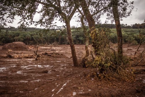 Área devastada pela onda de rejeitos no bairro Parque Cachoeira em Brumadinho (Foto: Mária Otávia Rezende/UFJF)