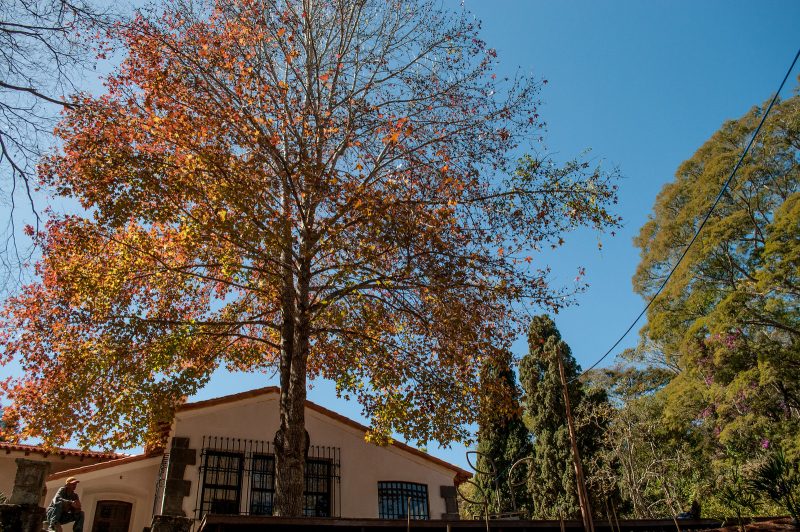 jardimbotanicoufjf_foto_twinalvarengaufjf