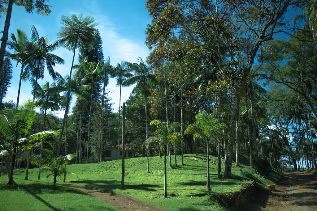 jardimbotanicoufjf_foto_Maria_Otavia_Rezende_UFJF