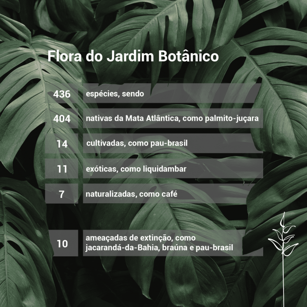 flora_jardim_botanico_ufjf__arte_Luciano_Monteiro_UFJF