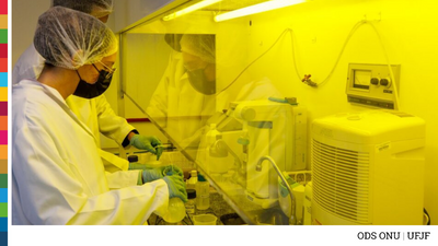UFJF integra Instituto de Ciencia y Tecnología para estudiar fisiología vegetal