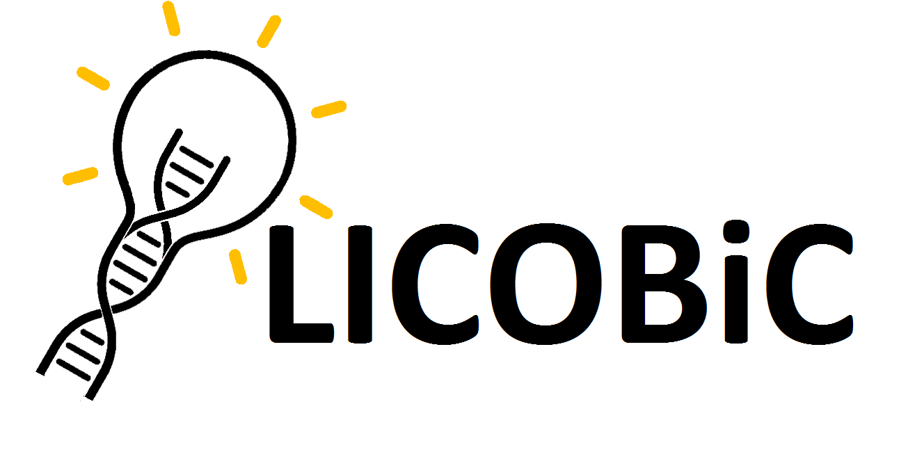 LICOBiC - Laboratório de Inteligência Computacional, Otimização e Biologia Molecular Computacional