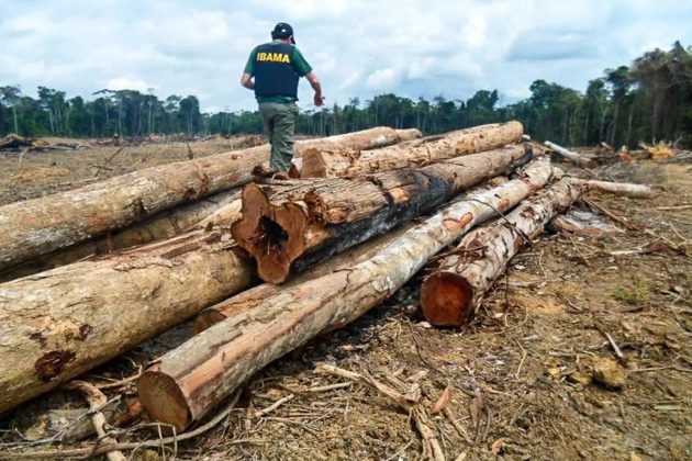 Oxford Academic publica pesquisa da UFJF sobre os desafios do policiamento na Amazônia