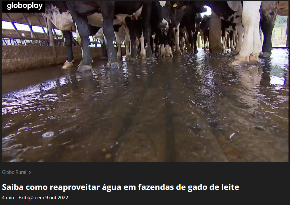 Reportagem: Saiba como reaproveitar água em fazendas de gado de leite
